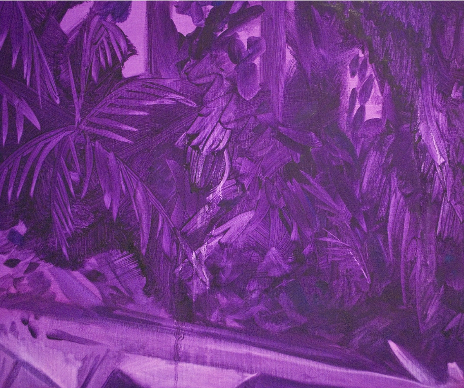SAvioletbasics2011detail