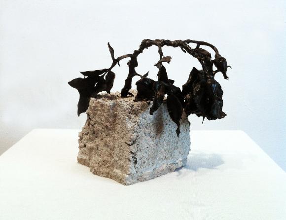 SeanAndersonBlackflower2013