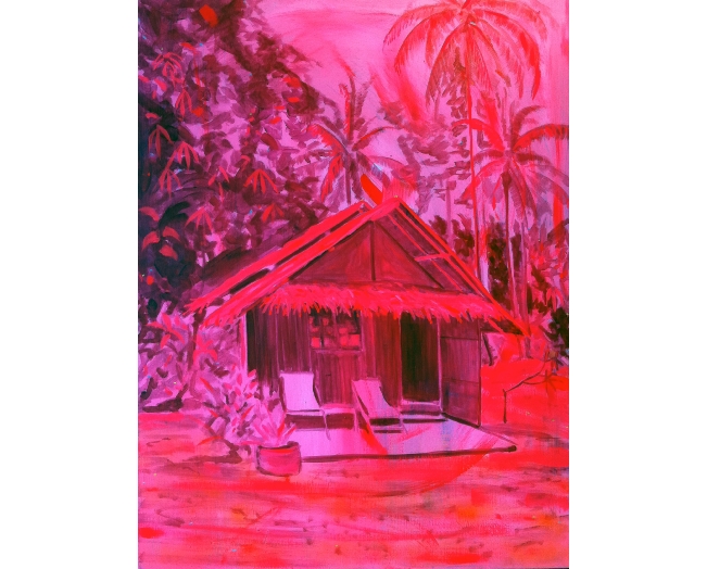 SeanAndersonjunglehutpink2011