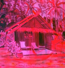 SeanAndersonjunglehutpink2011