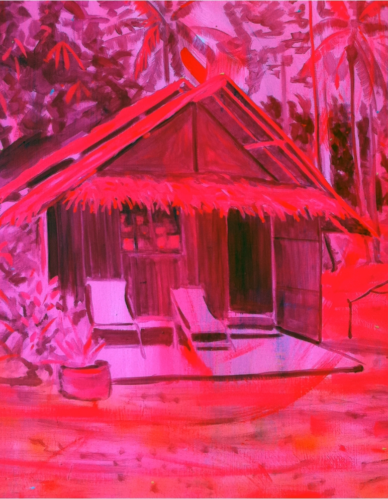 SeanAndersonjunglehutpinkdetail