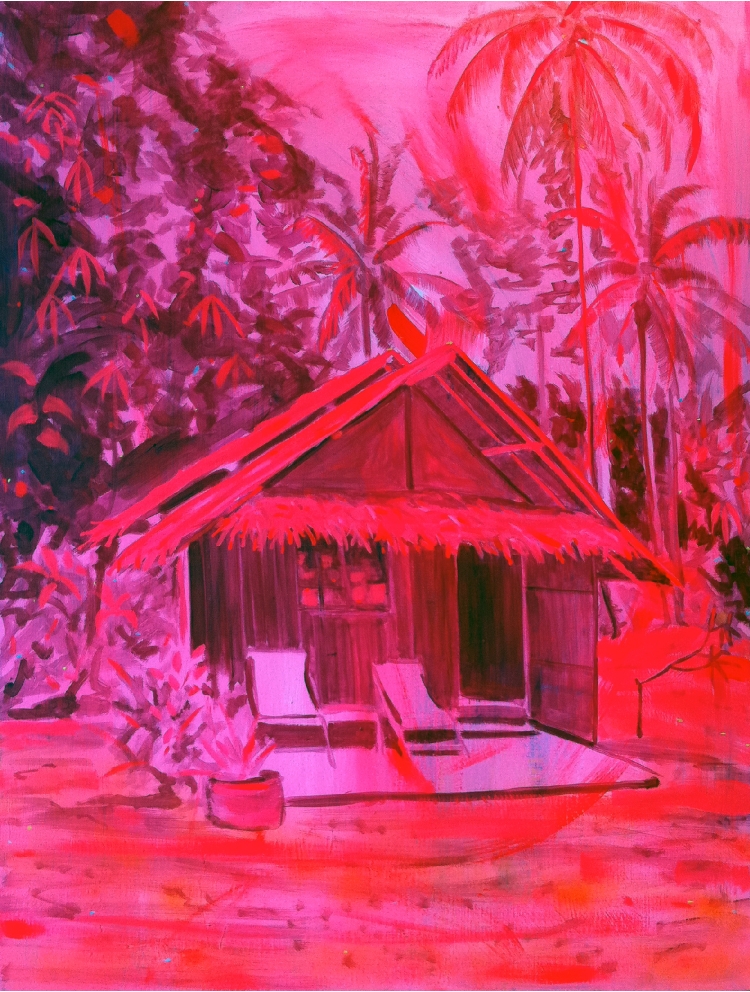 SeanAndersonjunglehutpink