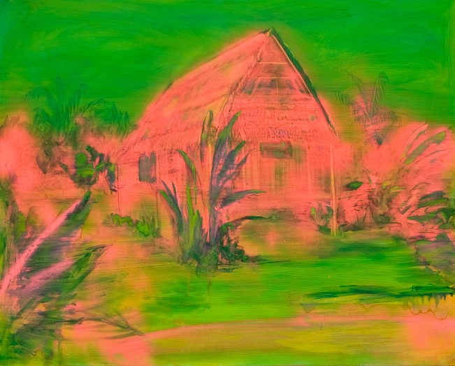 SeanAndersonpinkhut2011small
